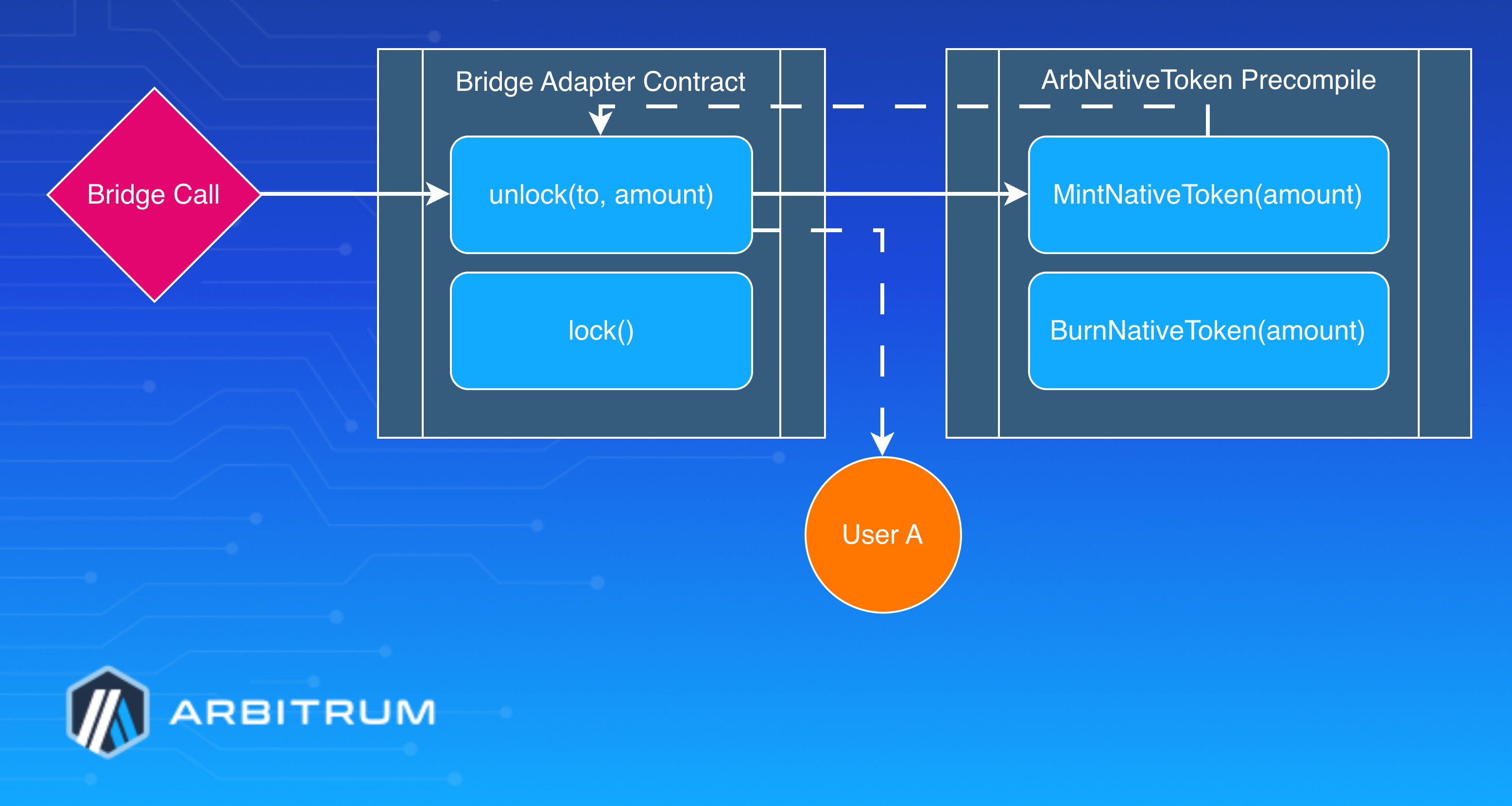 Bridge provider mint and burn